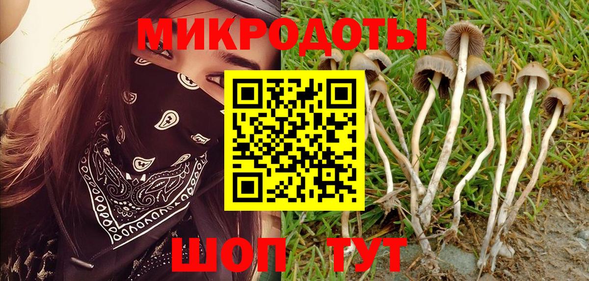 Псилоцибиновые грибы мицелий  Вход с VPN  Гай 